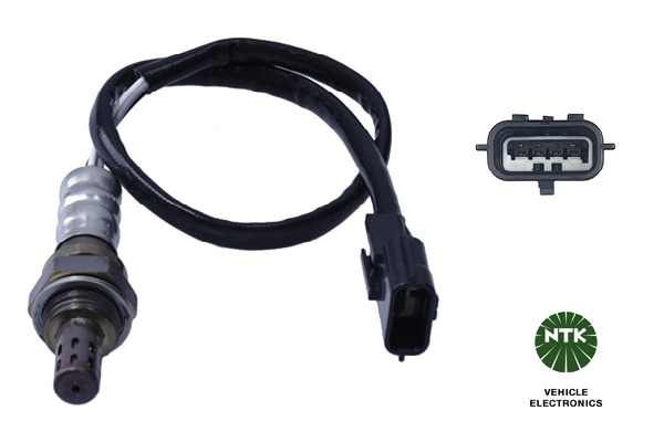 Oxygen Sensor