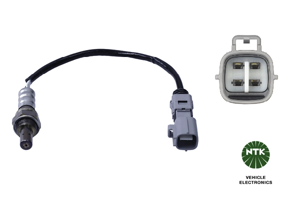 Oxygen Sensor