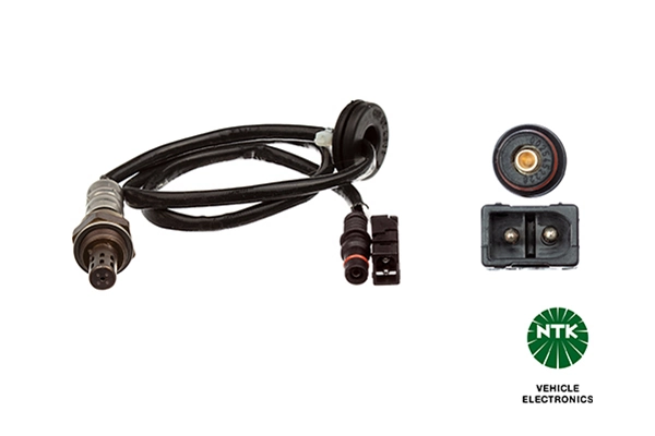 Oxygen Sensor