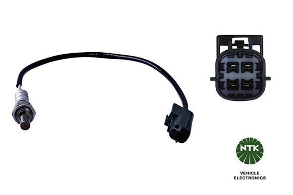 Oxygen Sensor