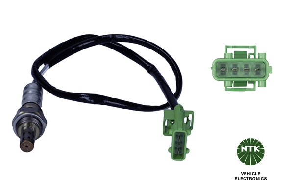 Oxygen Sensor