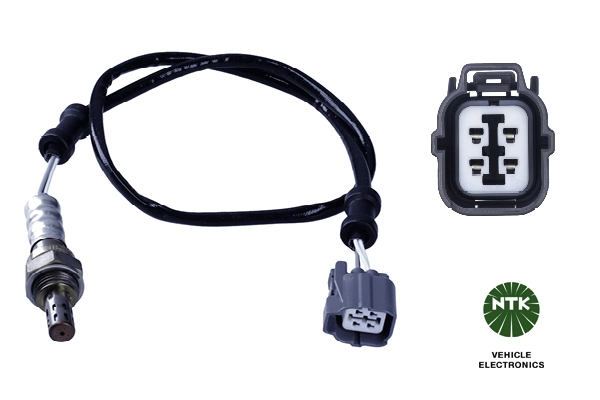Oxygen Sensor