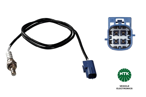 Oxygen Sensor