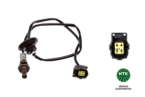 Oxygen Sensor