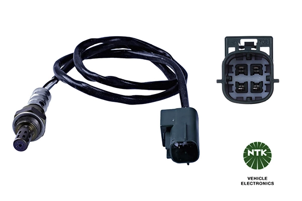 Oxygen Sensor