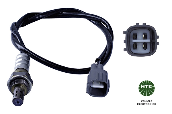 Oxygen Sensor