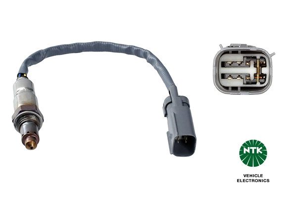 Oxygen Sensor