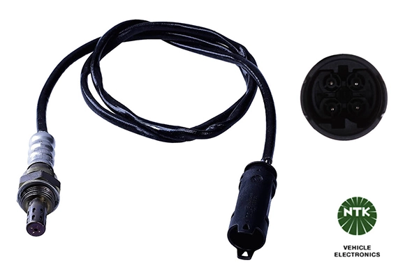 Oxygen Sensor