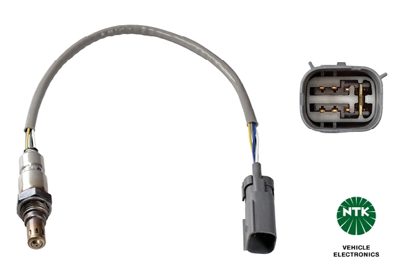 Oxygen Sensor