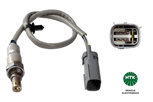 Oxygen Sensor