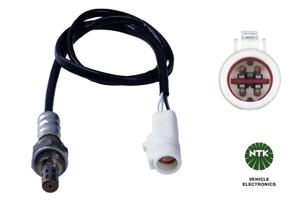 Oxygen Sensor