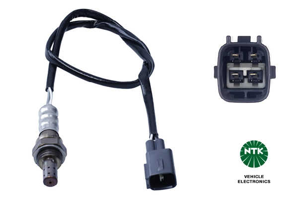 Oxygen Sensor