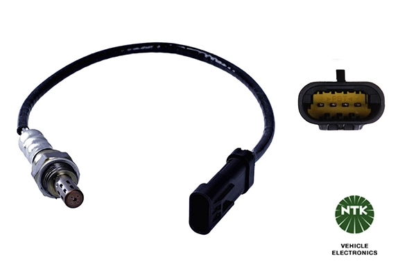 Oxygen Sensor