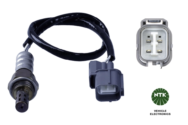Oxygen Sensor