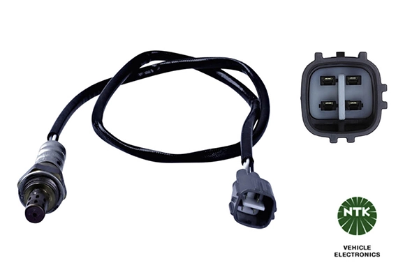 Oxygen Sensor