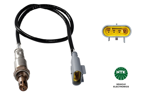 Oxygen Sensor