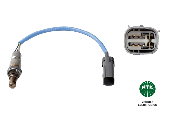 Oxygen Sensor