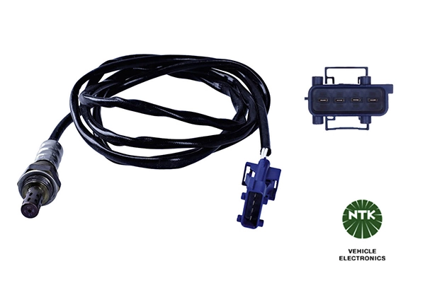 Oxygen Sensor