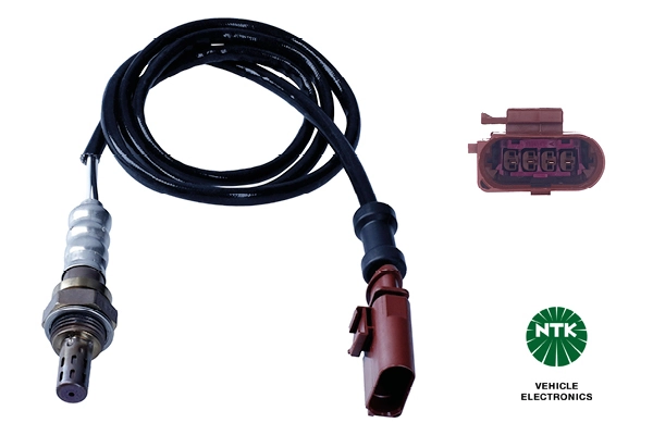 Oxygen Sensor