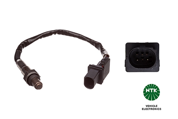 Oxygen Sensor