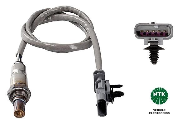 Oxygen Sensor