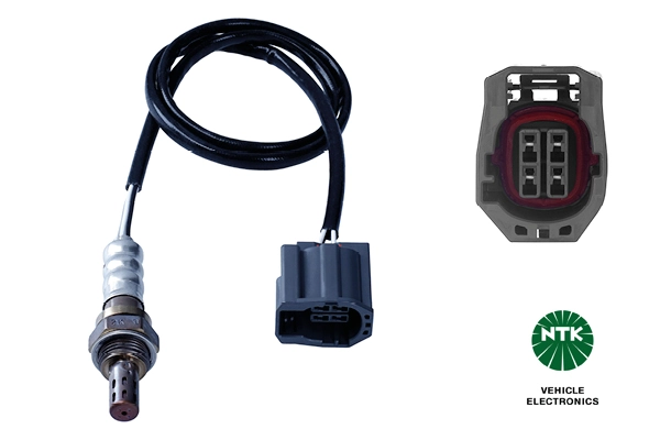 Oxygen Sensor