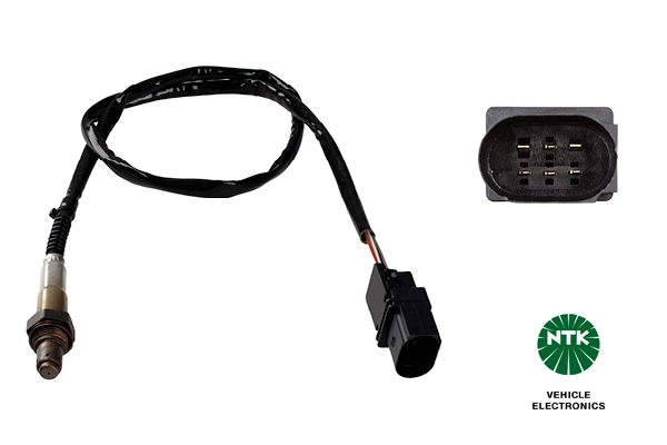 Oxygen Sensor