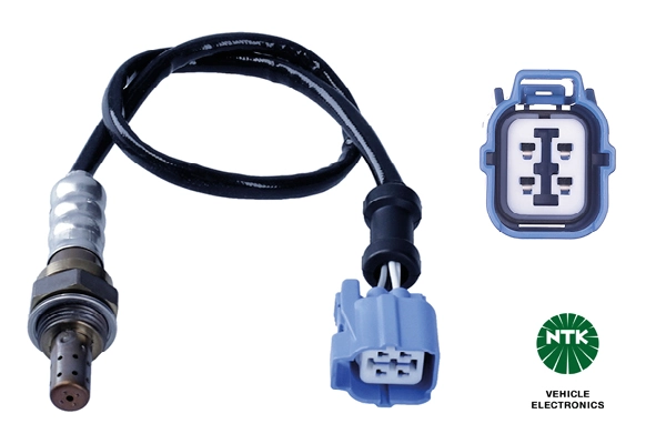 Oxygen Sensor