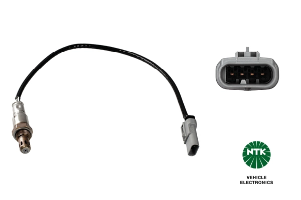 Oxygen Sensor