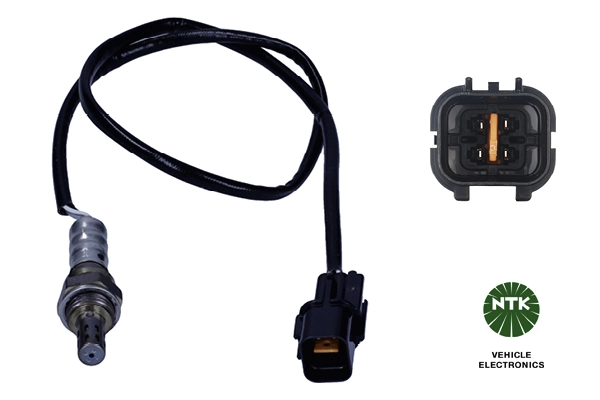 Oxygen Sensor