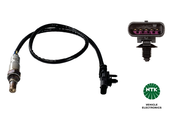 Oxygen Sensor