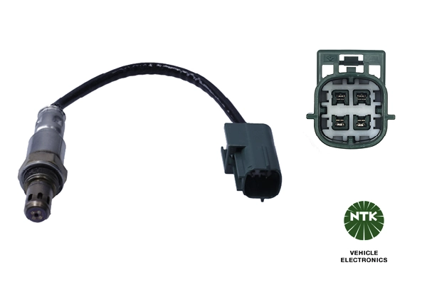 Oxygen Sensor