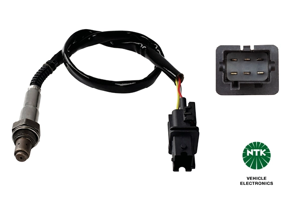 Oxygen Sensor