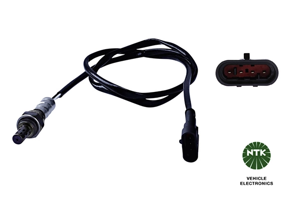 Oxygen Sensor