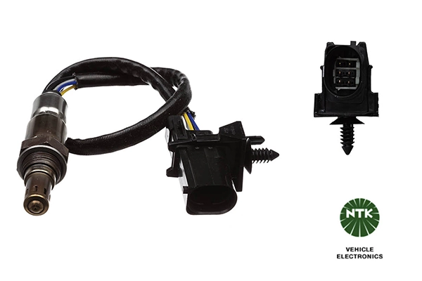 Oxygen Sensor