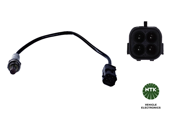 Oxygen Sensor