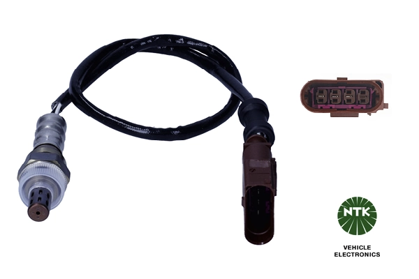 Oxygen Sensor