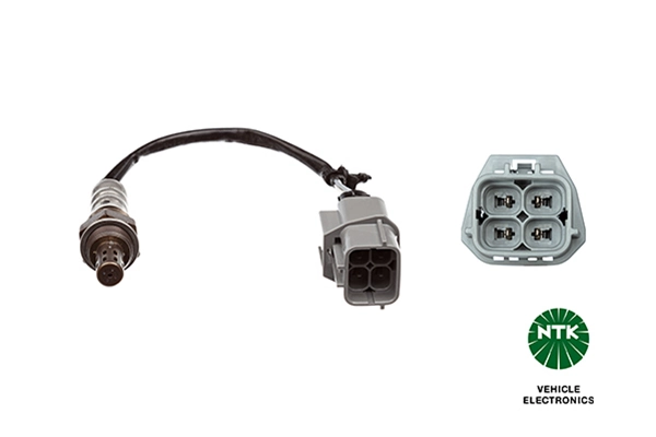 Oxygen Sensor