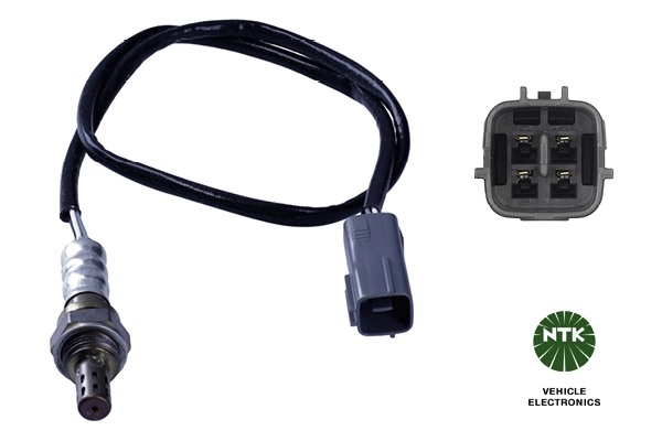 Oxygen Sensor