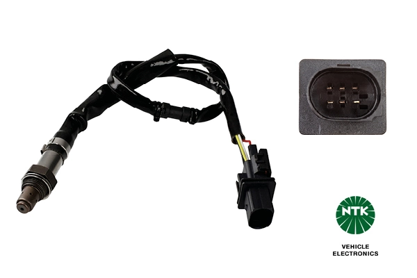 Oxygen Sensor