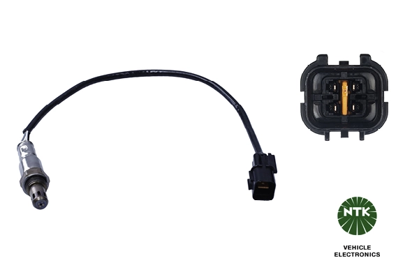 Oxygen Sensor