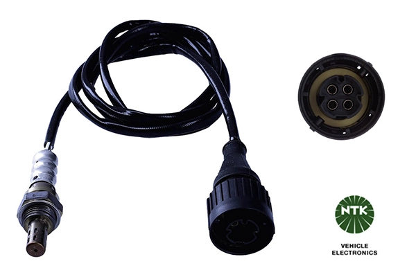 Oxygen Sensor