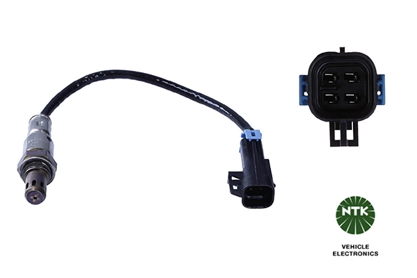 Oxygen Sensor