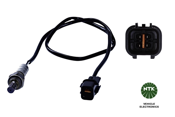 Oxygen Sensor