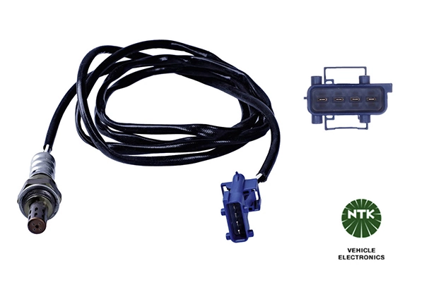 Oxygen Sensor