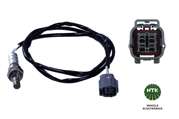 Oxygen Sensor