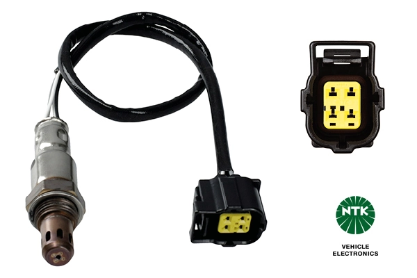 Oxygen Sensor
