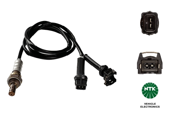 Oxygen Sensor