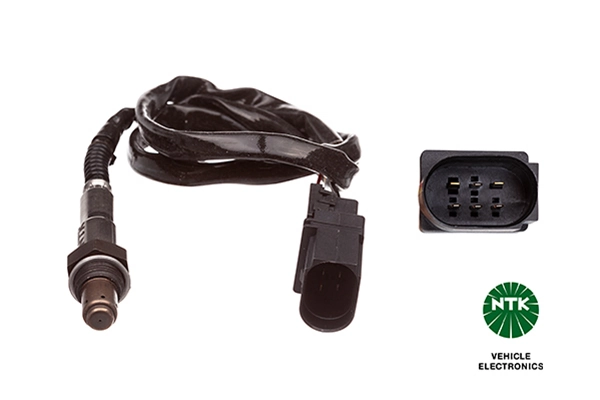 Oxygen Sensor