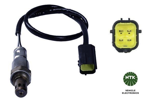 Oxygen Sensor